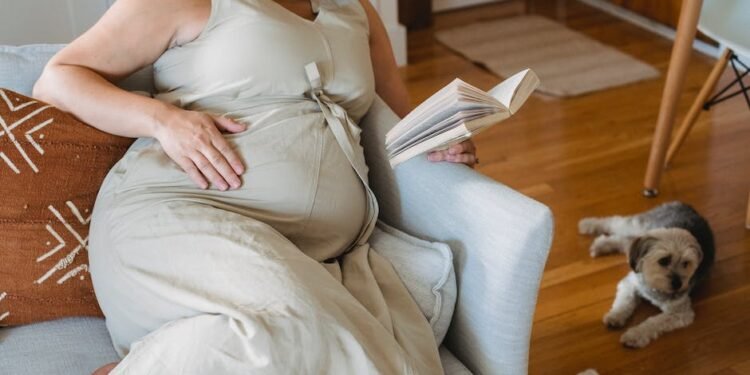 Read Ample Advice From Successful Homeschooling Parents