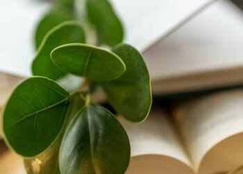 It’s Simple To Learn About Hobbies With This Article