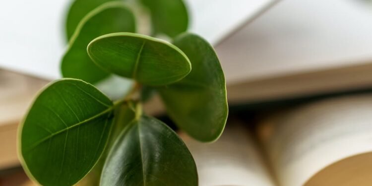 It’s Simple To Learn About Hobbies With This Article