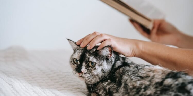 Wondering What Type Of Hobby Would Be Best For You? Read These Tips!